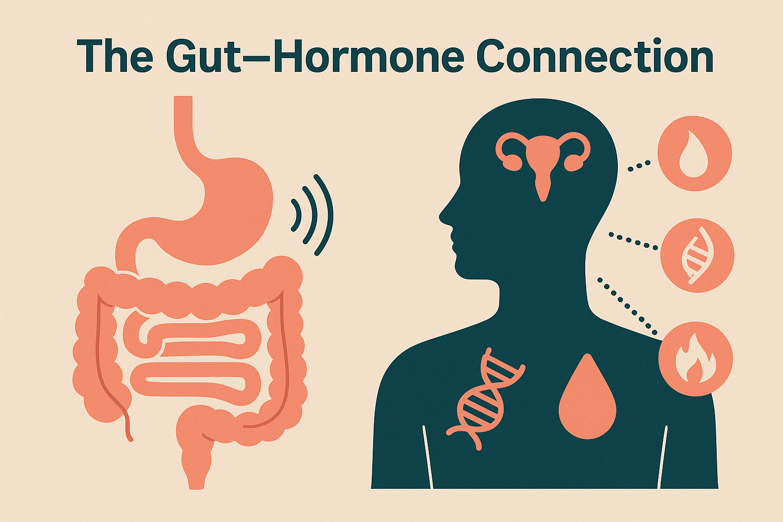 Gut Hormone Connection